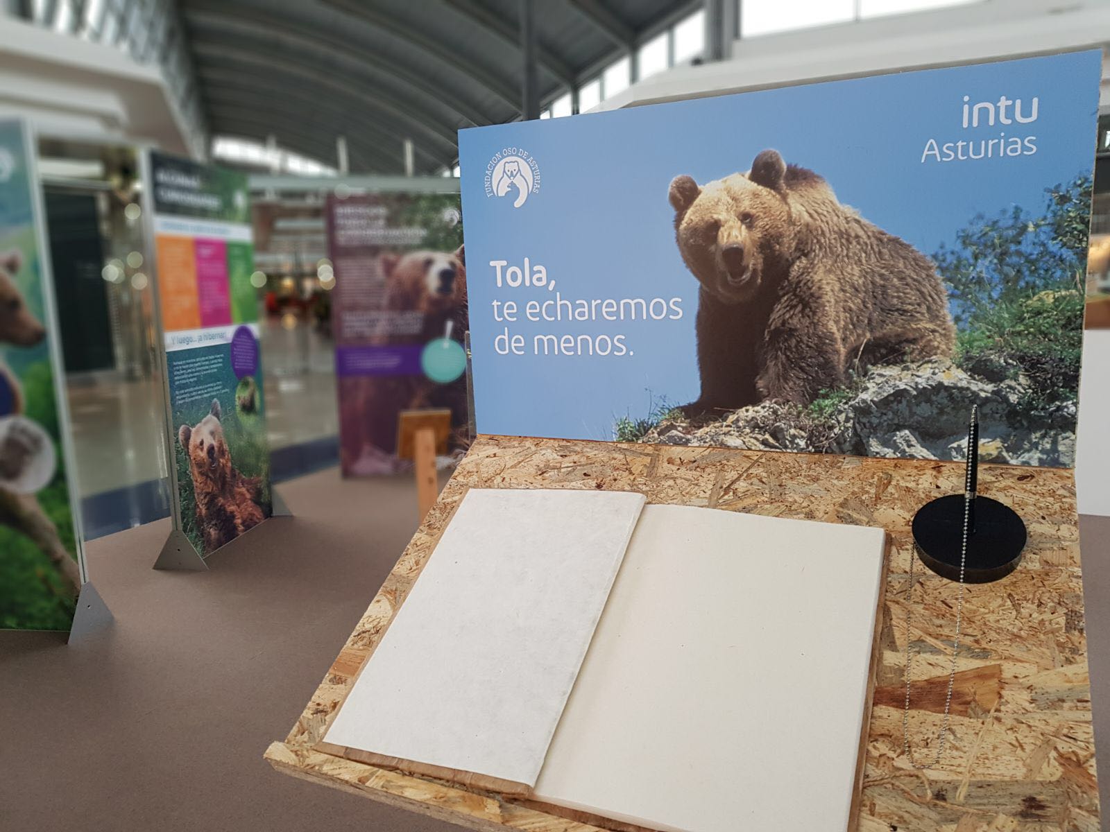 Unos 1.300 escolares visitan la exposición 'Sigue la huella del oso' en Intu Asturias